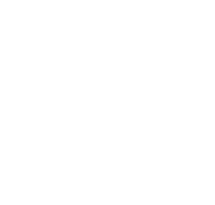 Steam